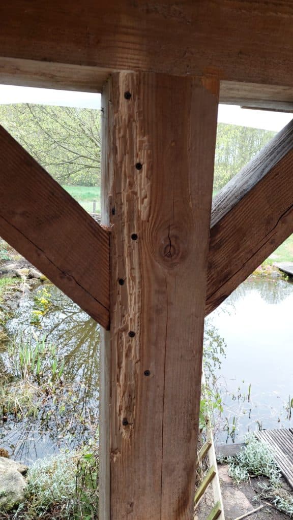 Behandelde houten balk met injectiepluggen in Beilen