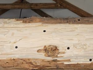 Injectiepluggen aangebracht in de behandelde balk in Glimmen
