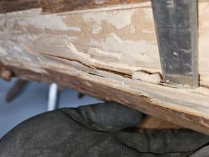 Vrijgelegd hout met boormeel in Glimmen